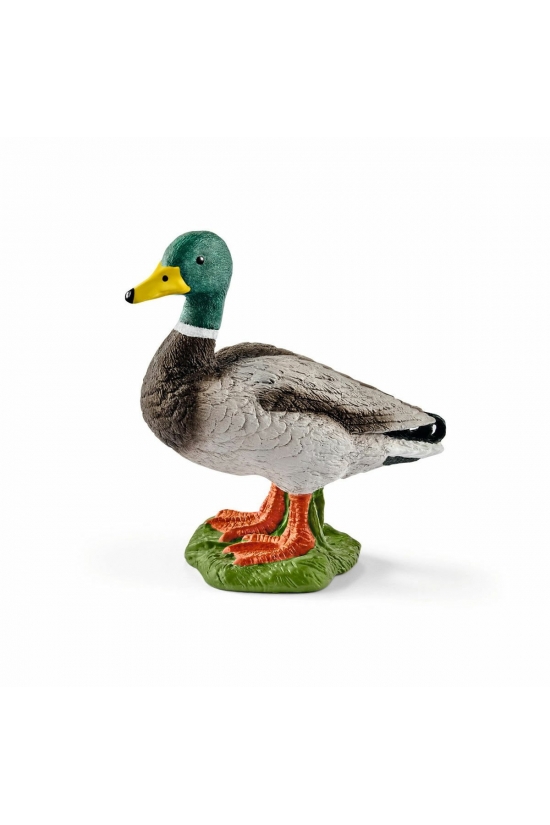 13824 Schleich - Erkek Ördek +3 yaş