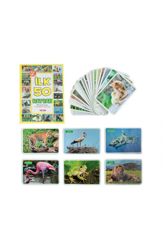 1352 Flash Cards İlk 50 Hayvan -Dıytoy